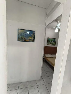 Diğer