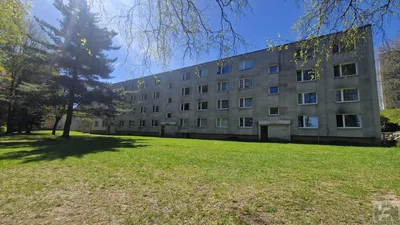 Diğer
