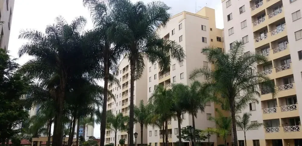 أخرى
