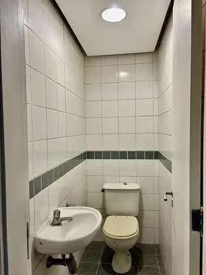 Остало