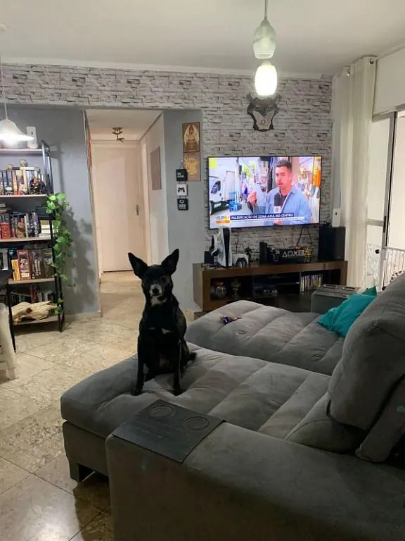 Остало