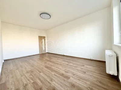 Ostatní