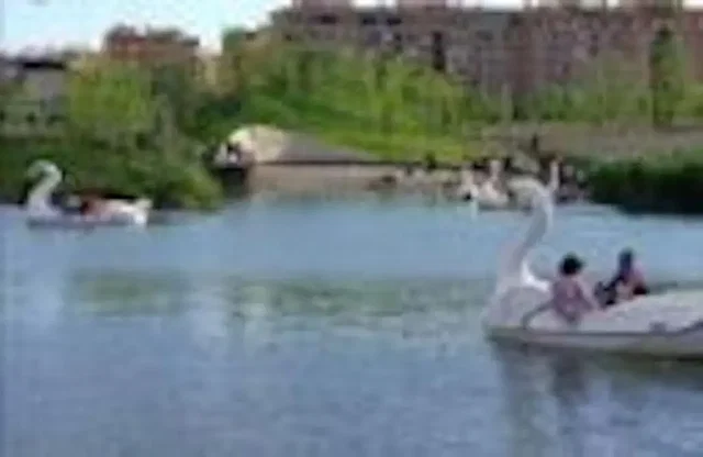 غرفة معيشة