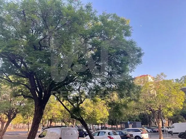 Σαλόνι