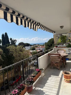 Diğer