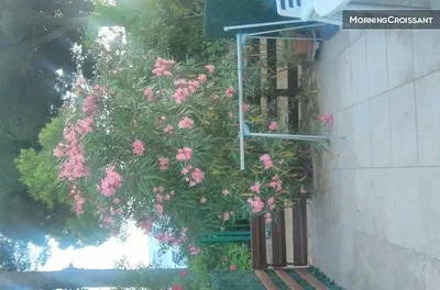 غرفة معيشة