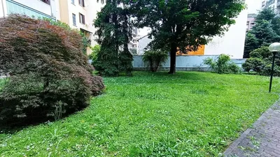 Dnevna soba