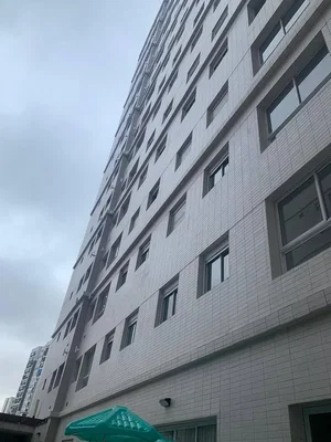 Diğer