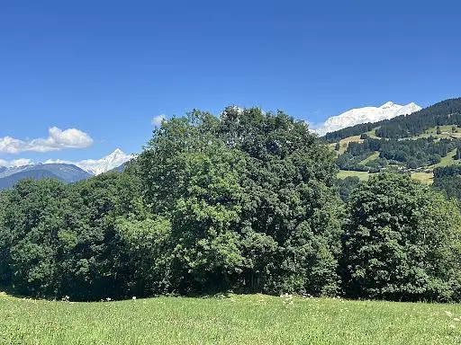 Soggiorno