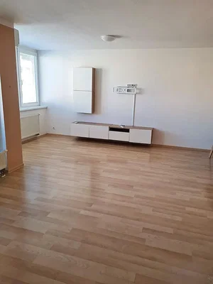 Diğer