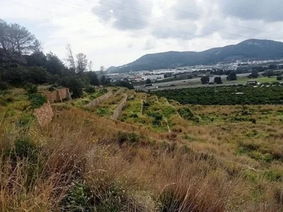 Diğer