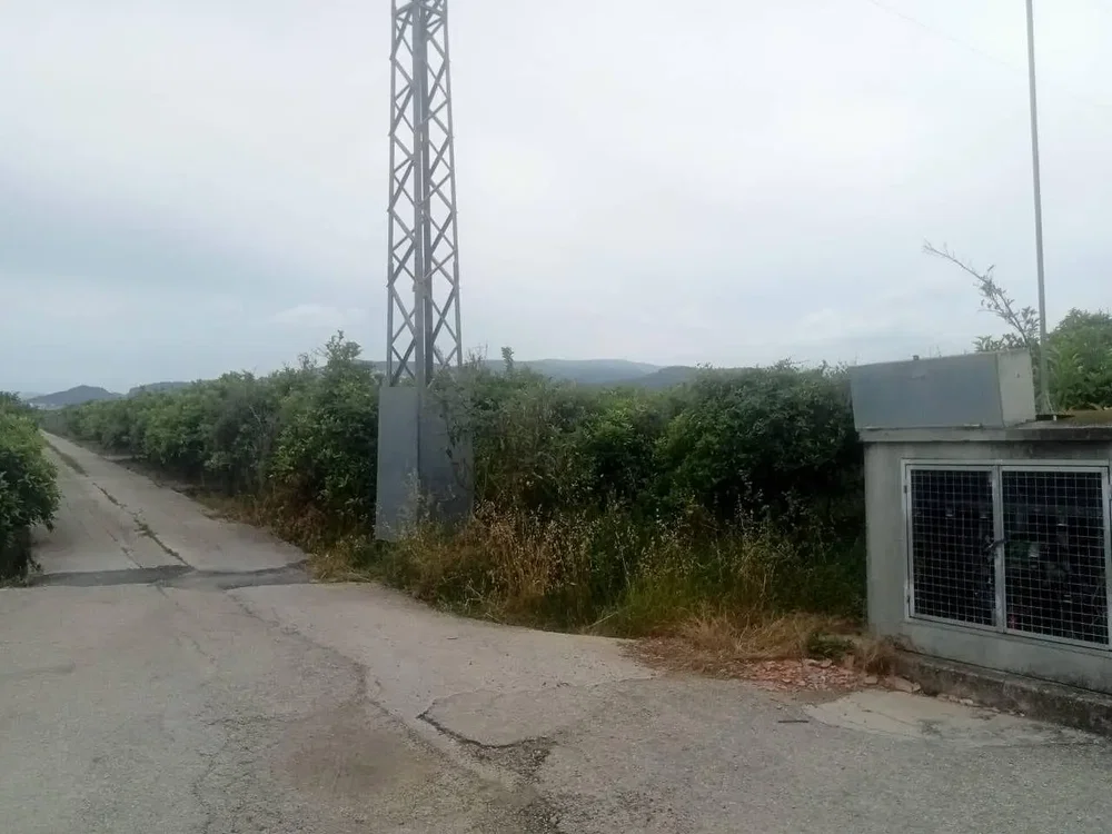 Ostatní