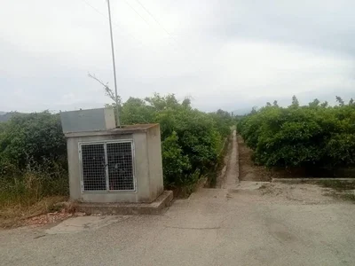 Ostatní