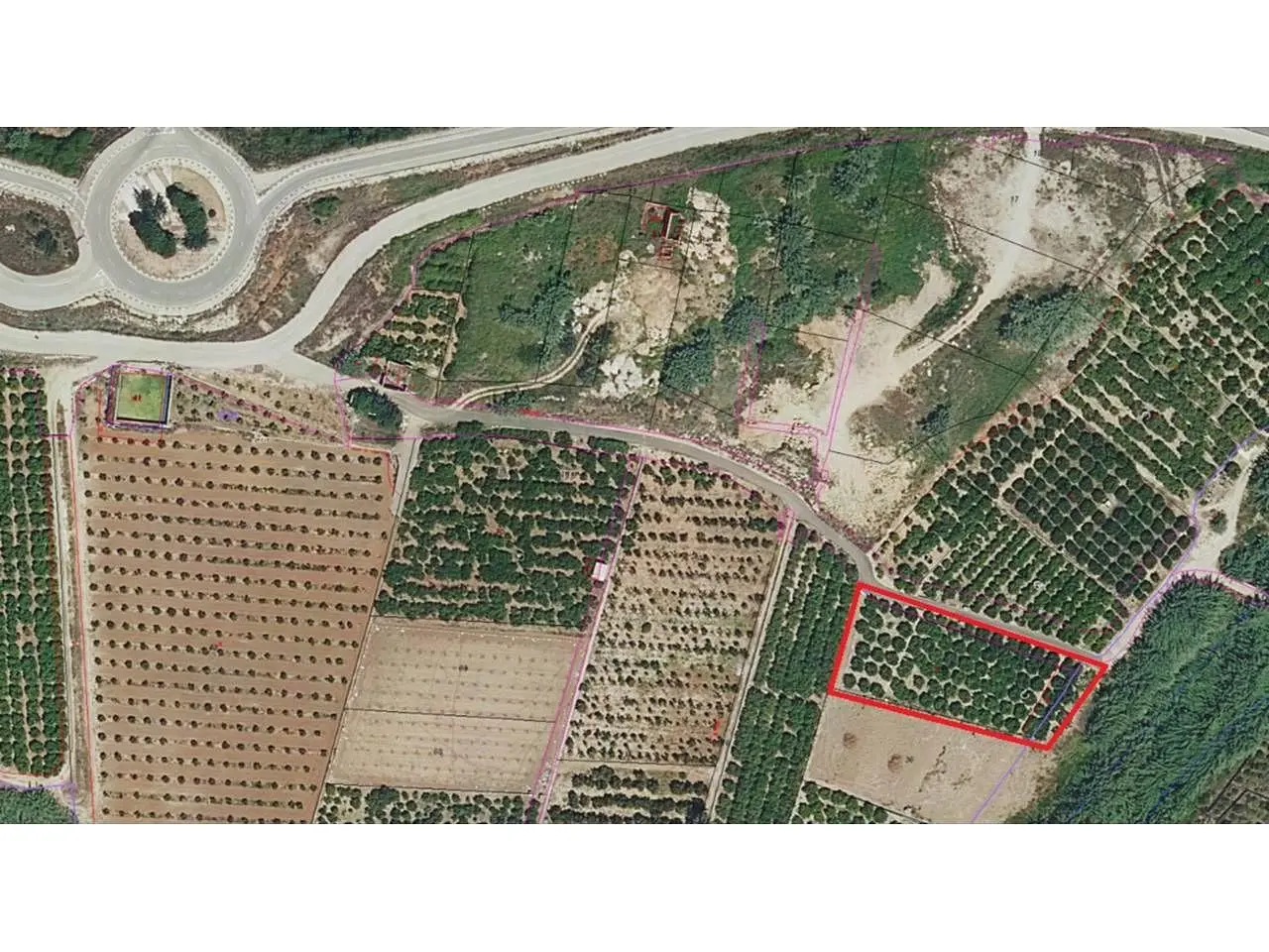 Diğer