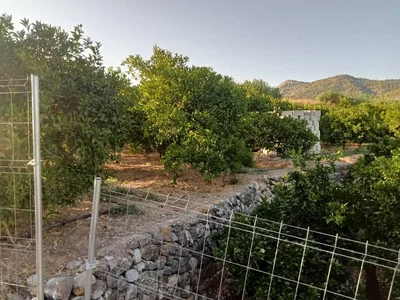 Diğer