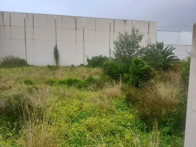 Diğer