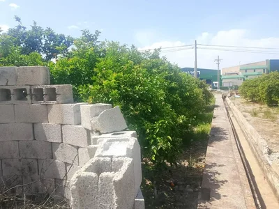 Sonstiges