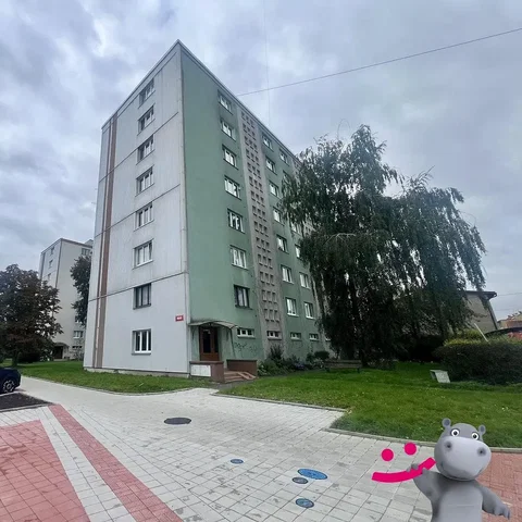 أخرى