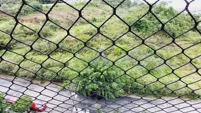 Остало