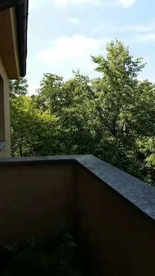 Хол