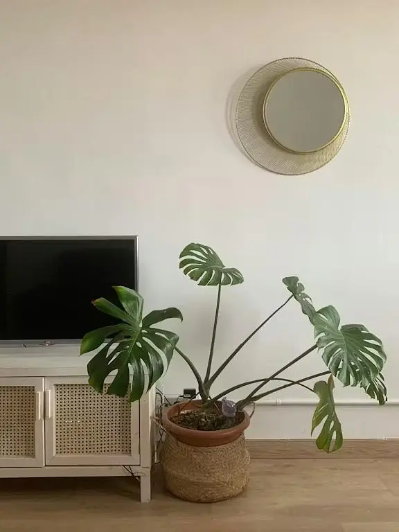 Dnevna soba
