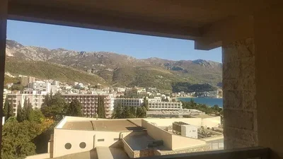 Diğer