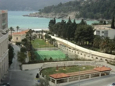 Ostatní