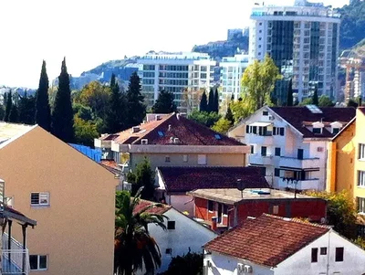 Diğer