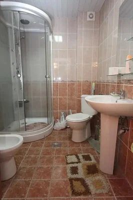 Diğer