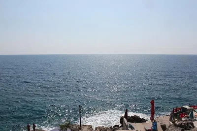Diğer