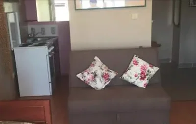 Diğer