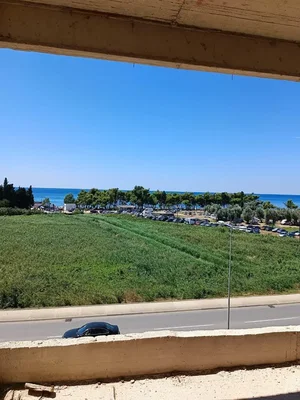 Diğer