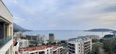 Diğer
