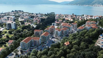 Diğer