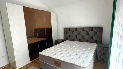 Diğer