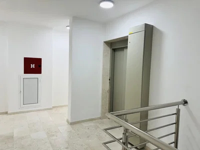 Diğer