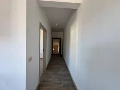 Diğer