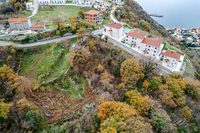 Ostatní