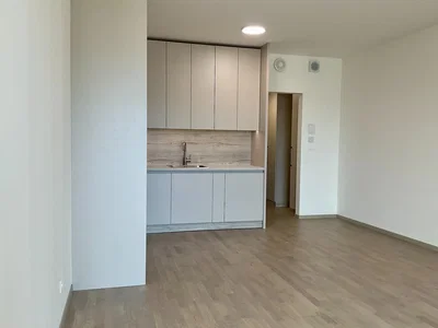 Ostatní