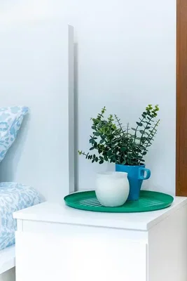 غرفة معيشة