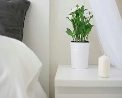 غرفة معيشة