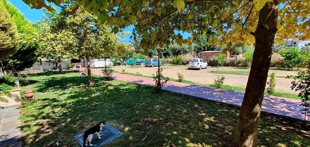 Σαλόνι