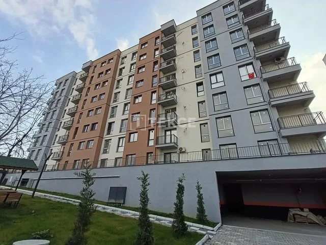 Хол
