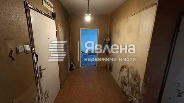 Хол