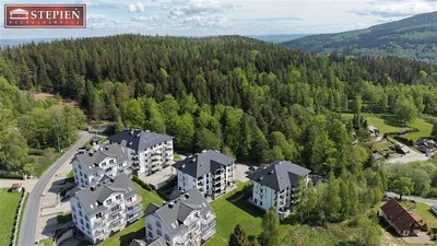 Ostatní
