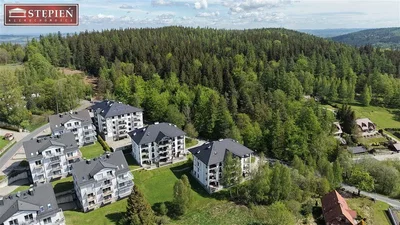Ostatní