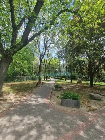Ostatní
