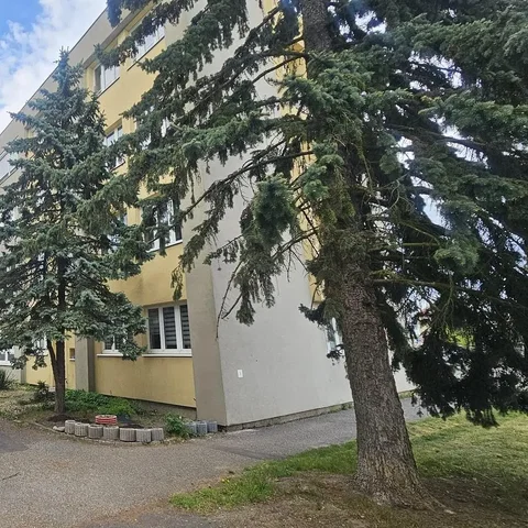 Ostatní