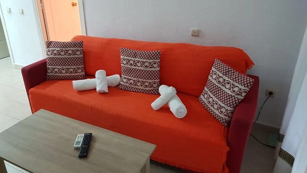 Diğer