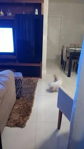 Друго